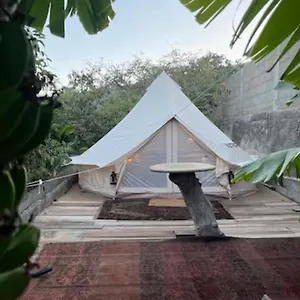Yurt In Avocado Garden Tente de luxe Güimar
